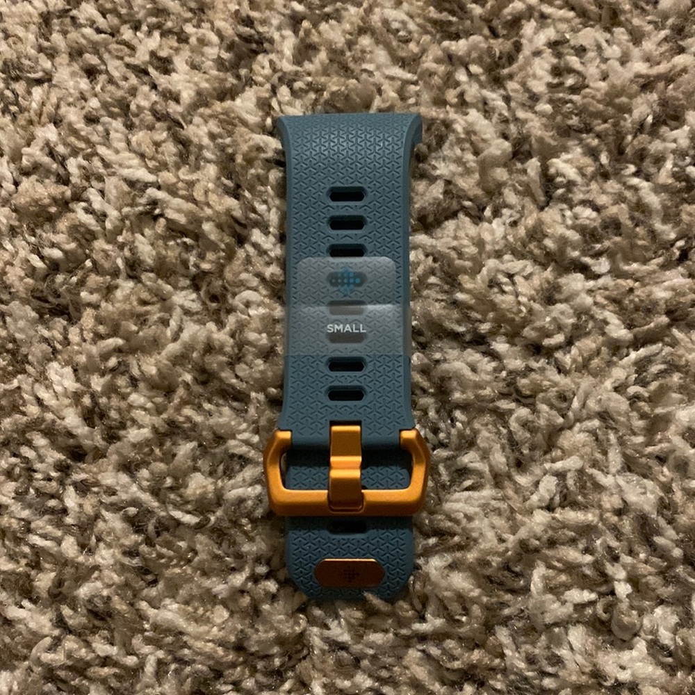 Fitbit Ionic Small Band